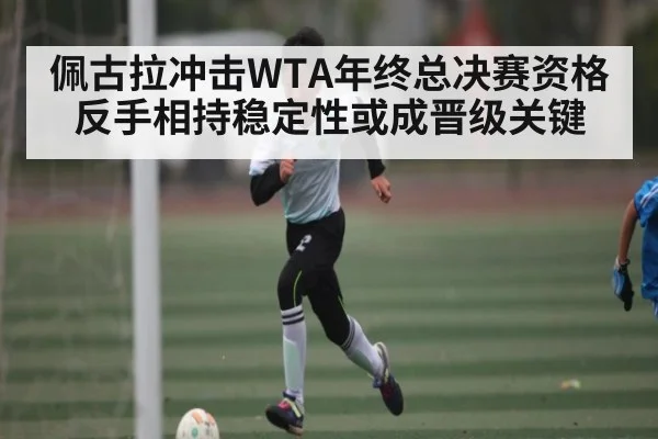 佩古拉冲击WTA年终总决赛资格 反手相持稳定性或成晋级关键